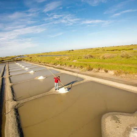 Maison Pour 6 Avec Jardin - 800 M De La بيت للعطل *